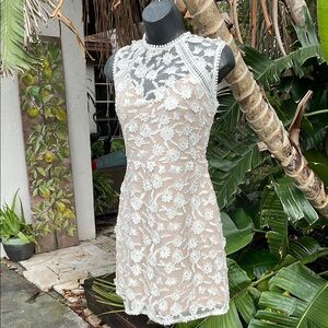 Aqua 3-D floral sheer lace dress